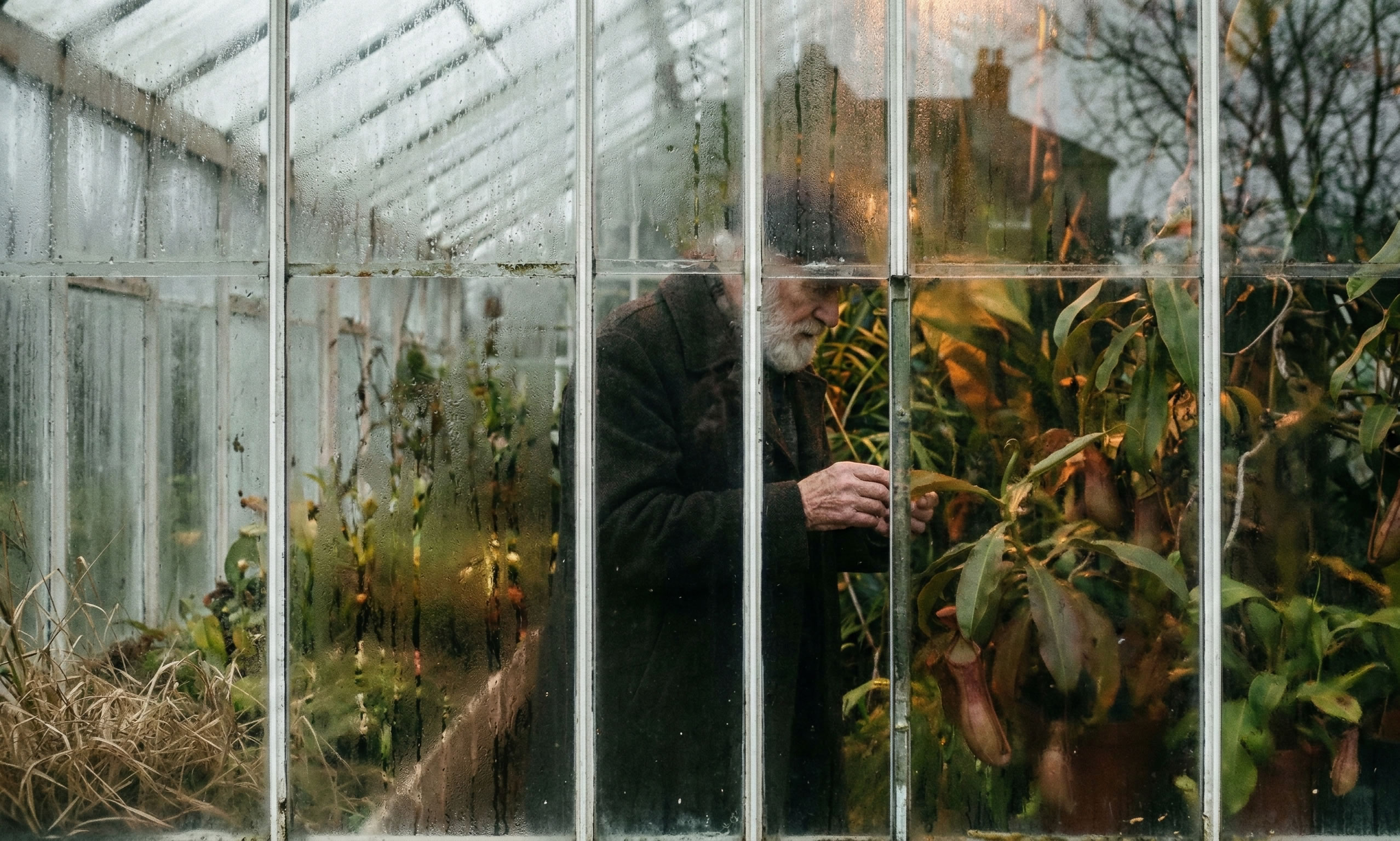 Charles Darwin en el estilo fotográfico de Saúl Leiter