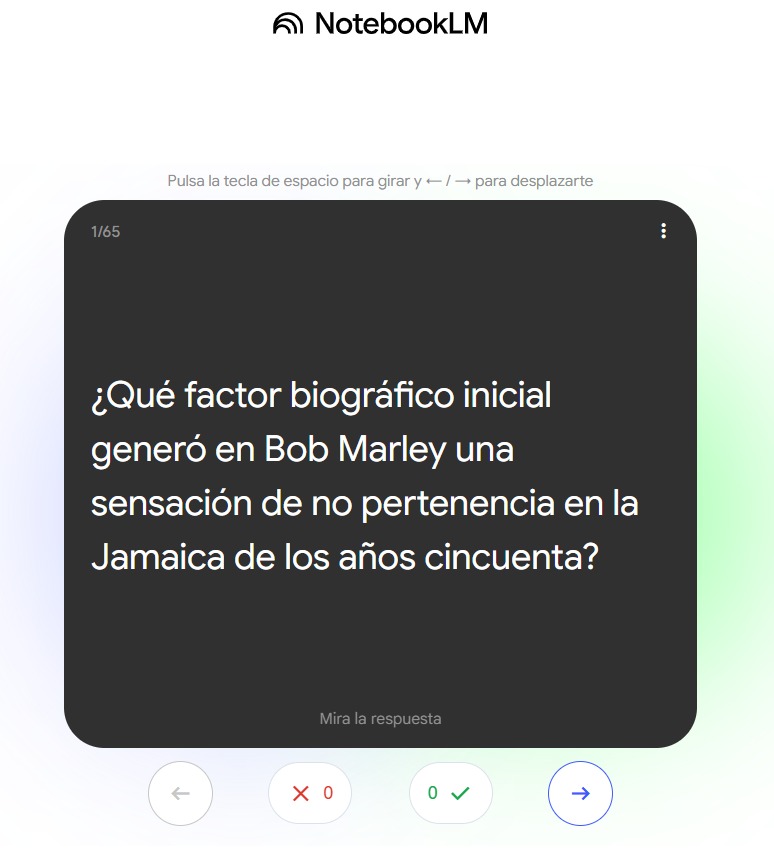 Fichas didácticas de Bob Marley